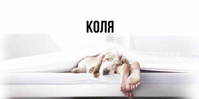 Картинка  с именем , коля