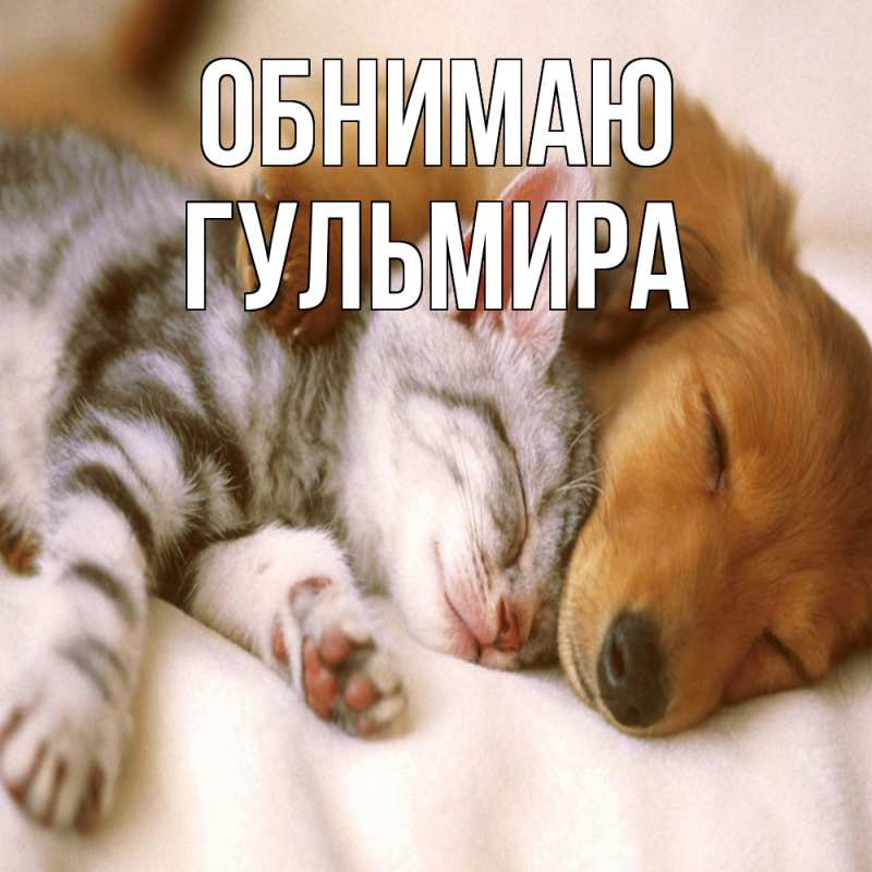 Картинка Обнимаю, Гульмира