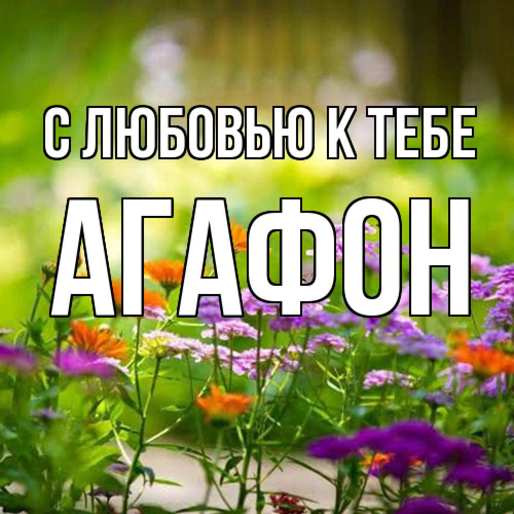 Открытка  с именем. Агафон, С любовью к тебе  