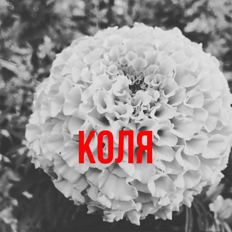 Картинка  с именем , коля