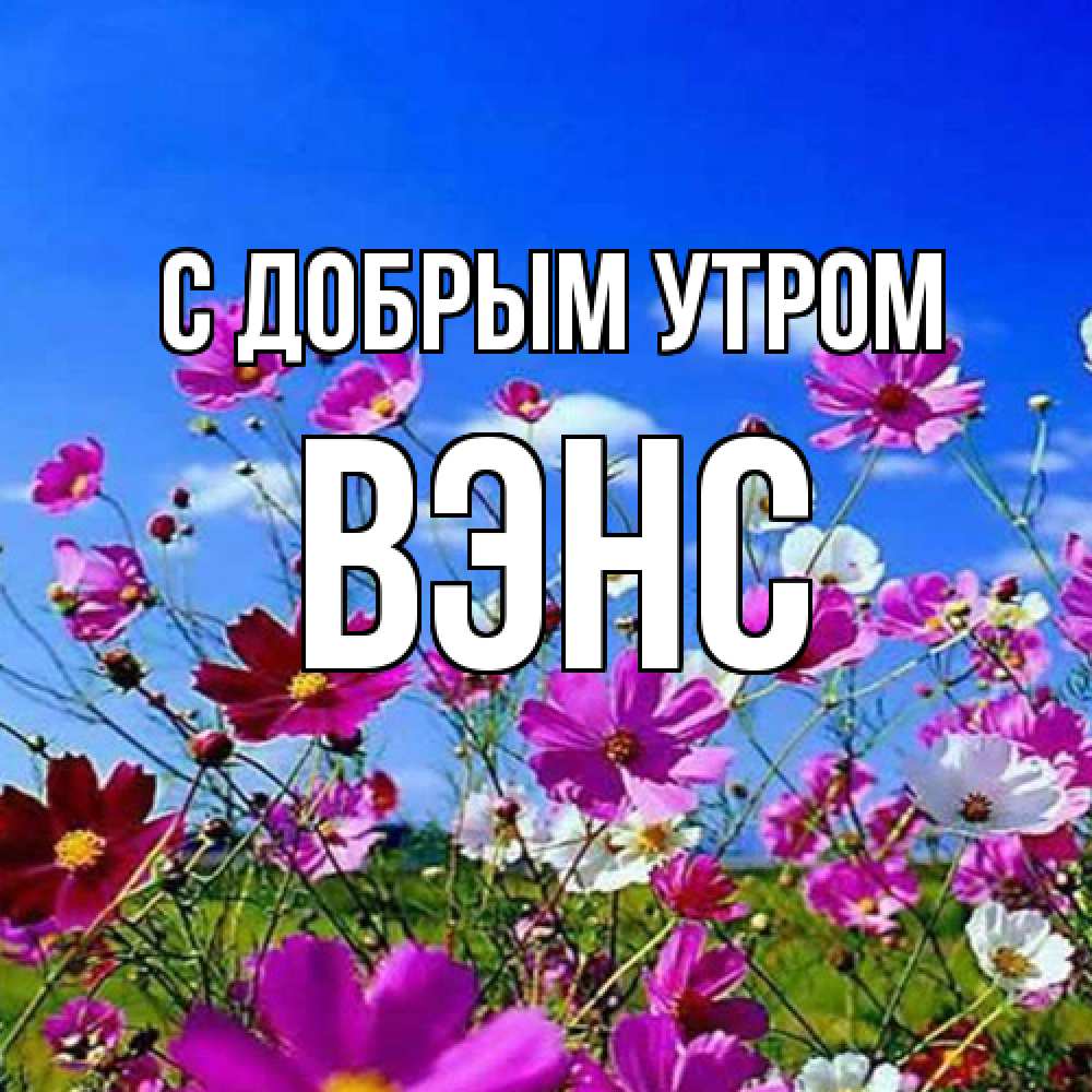 Открытка  с именем. вэнс, С добрым утром  