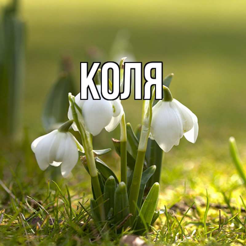 Картинка  с именем , коля