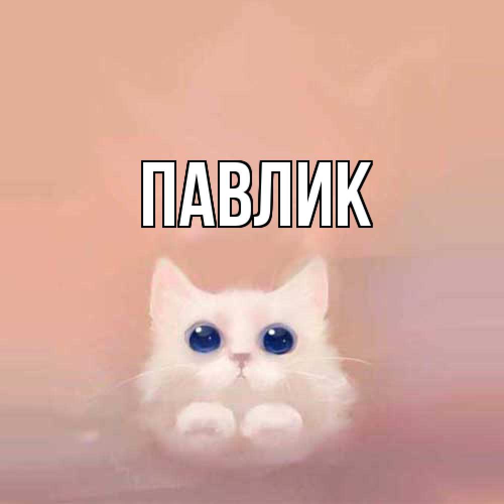 Открытка  с именем. Павлик, Главная  
