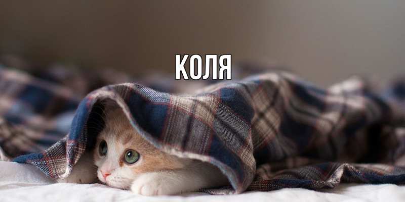Картинка  с именем , коля