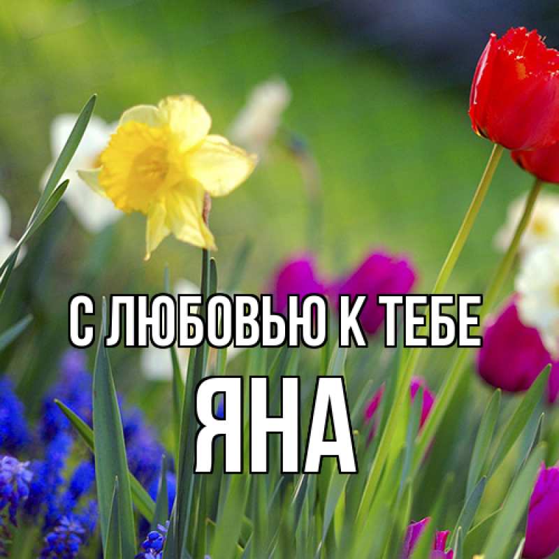 Открытка с именем, Яна, С любовью к тебе
