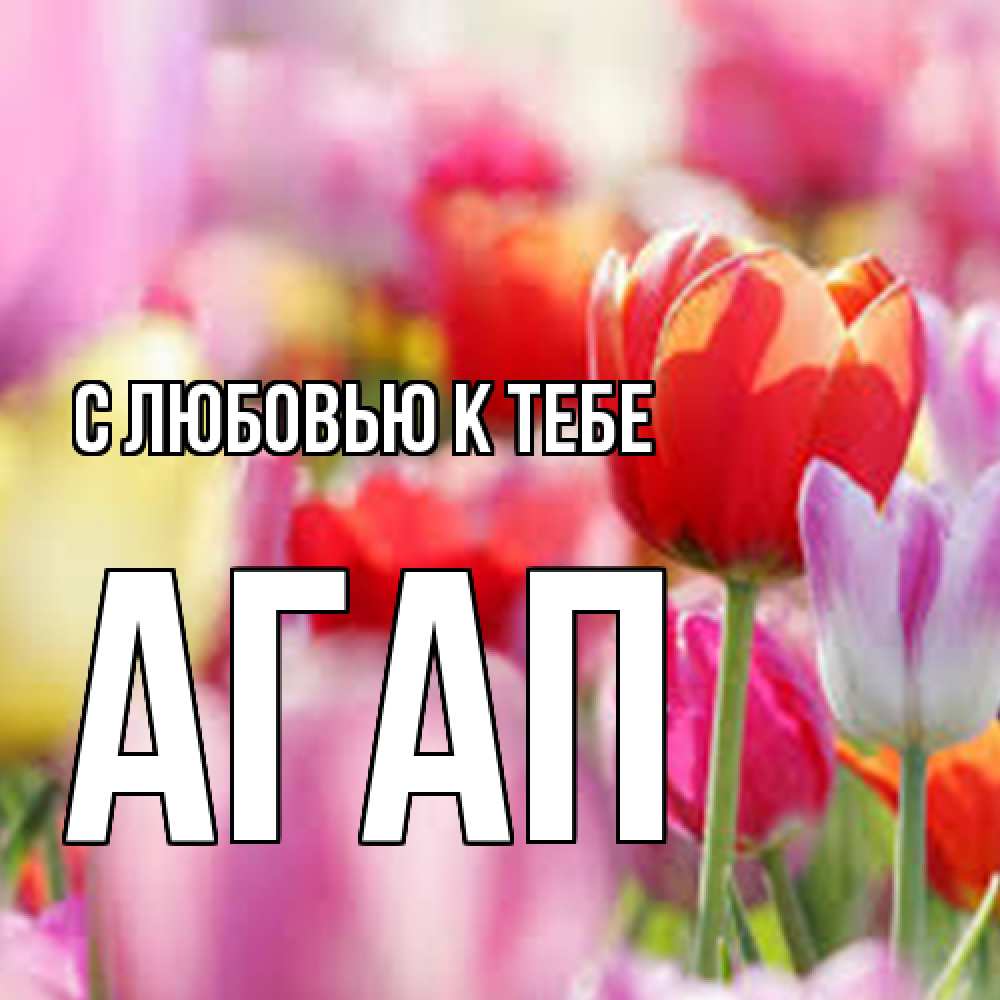 Открытка  с именем. Агап, С любовью к тебе  