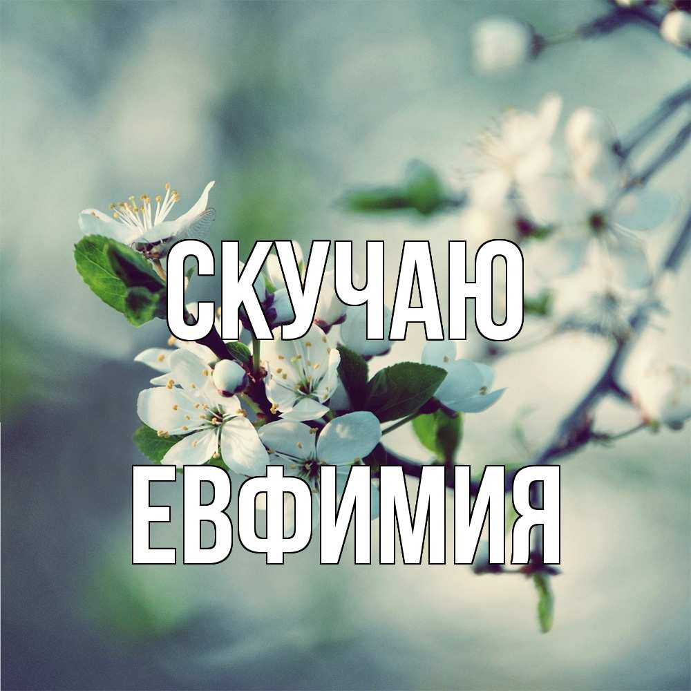Открытка  с именем. Евфимия, Скучаю  