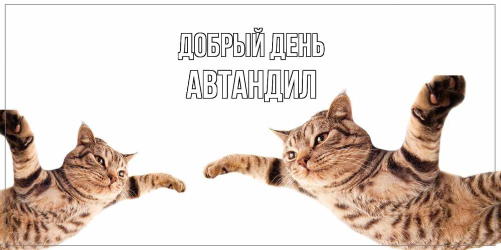 Открытка  с именем. Автандил, Добрый день  