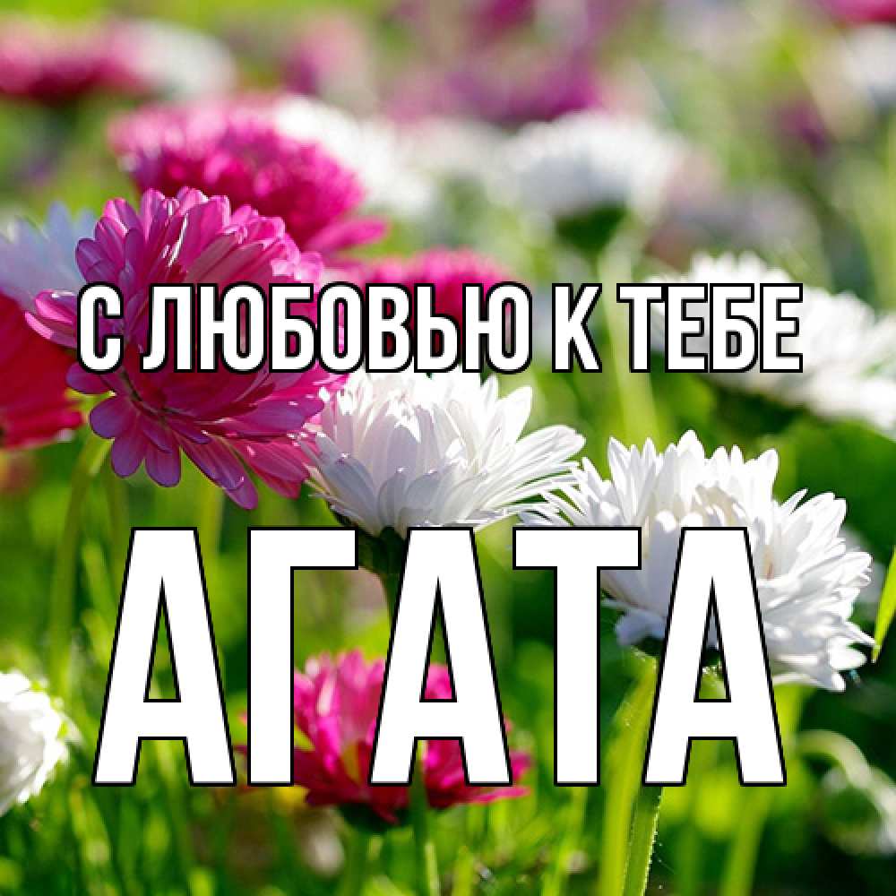 Открытка  с именем. Агата, С любовью к тебе  