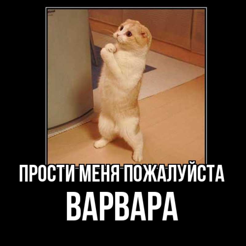 Картинка Прости меня пожалуйста, варвара