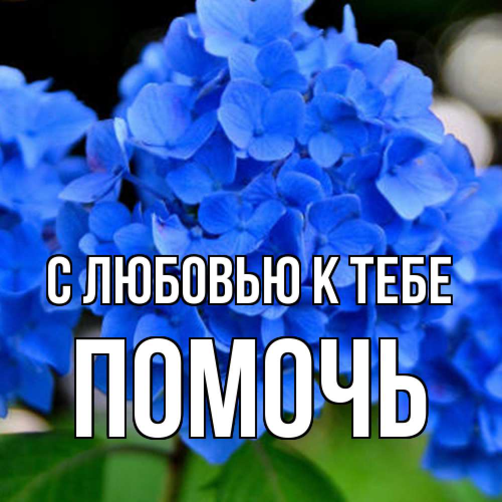 Открытка  с именем. Помочь, С любовью к тебе  