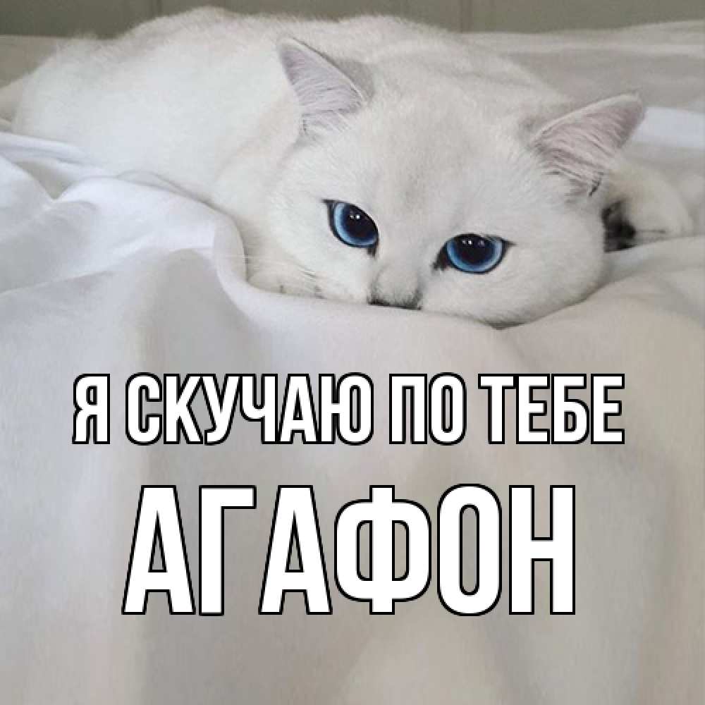 Открытка  с именем. Агафон, Я скучаю по тебе  