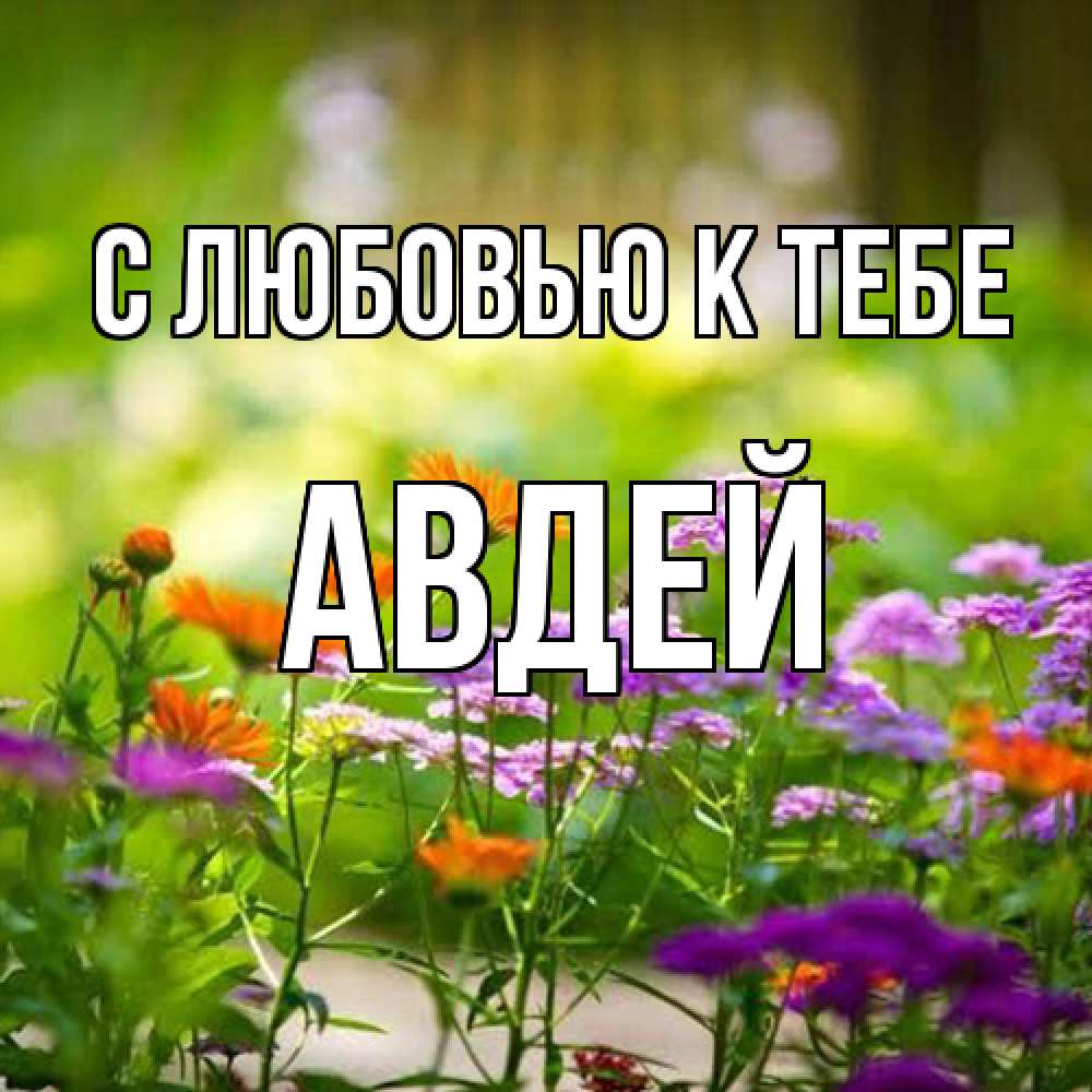 Открытка  с именем. Авдей, С любовью к тебе  