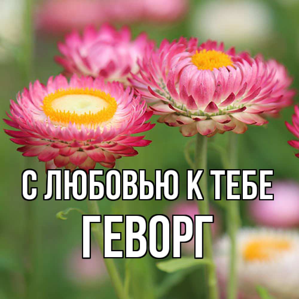 Открытка  с именем. Геворг, С любовью к тебе  