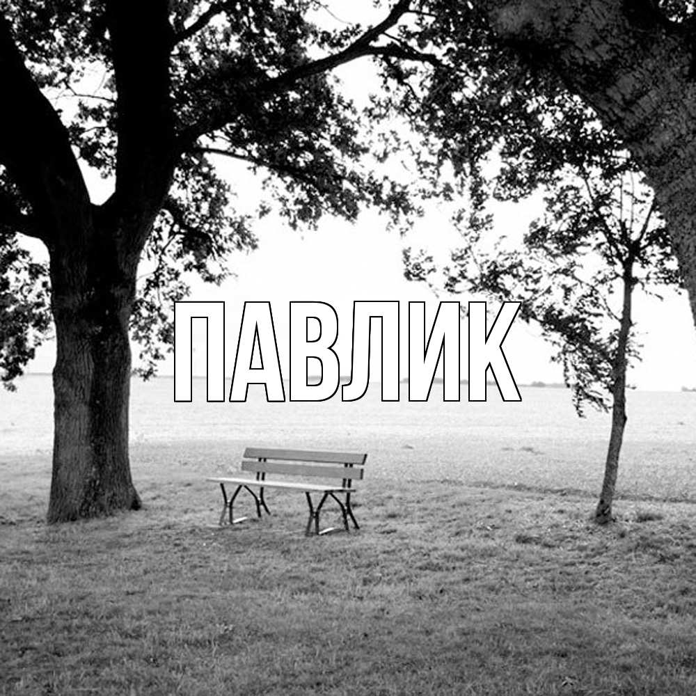 Открытка  с именем. Павлик, Главная  