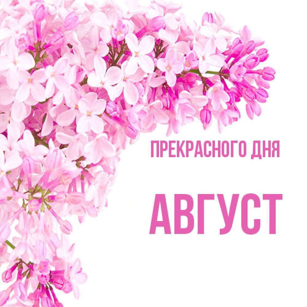 Открытка  с именем. Август, Прекрасного дня  