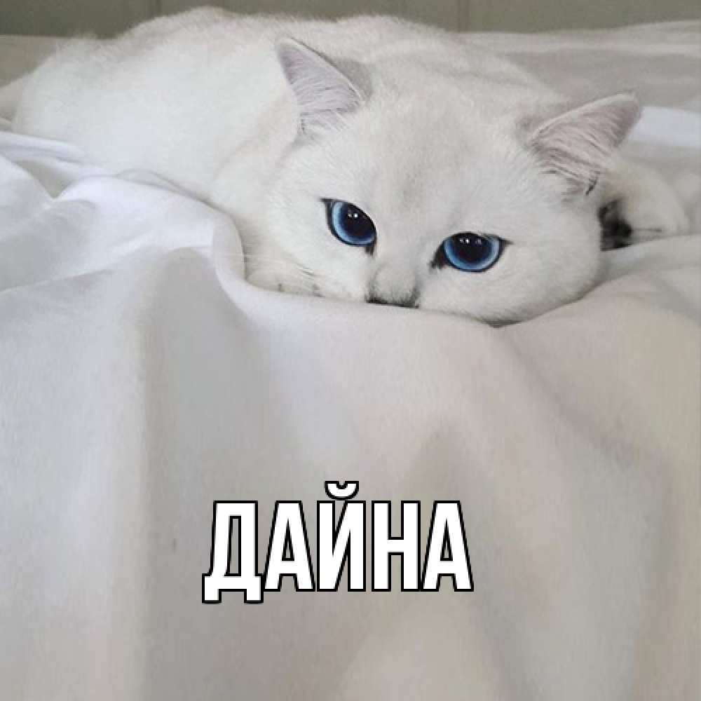 Открытка  с именем. Дайна, Главная  