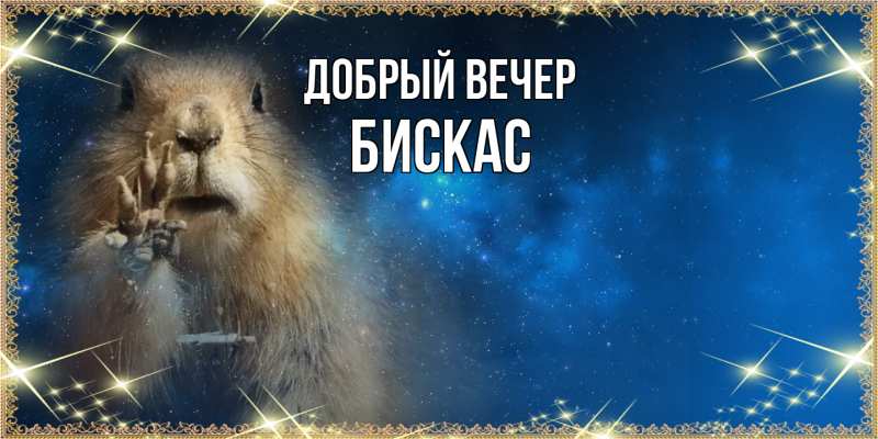 Картинка Добрый вечер, Бискас