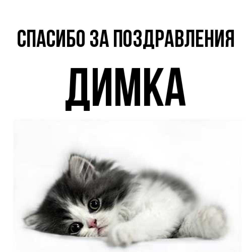 Открытка  с именем. ДИМКА, Спасибо за поздравления  