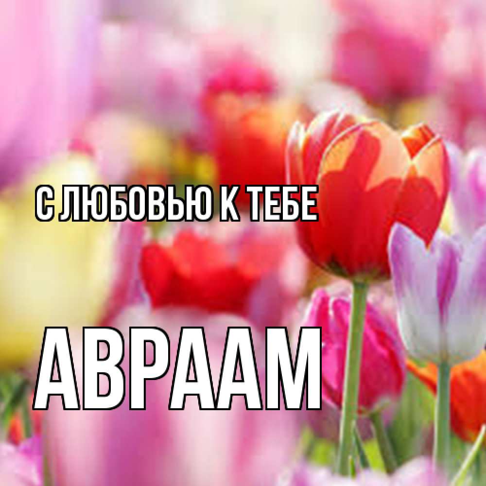 Открытка  с именем. Авраам, С любовью к тебе  