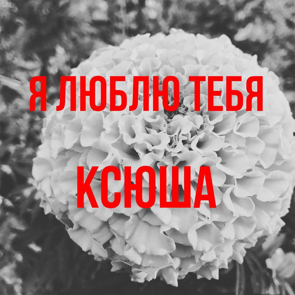 Открытка  с именем. Ксюша, Я люблю тебя  
