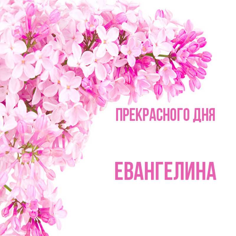 Картинка Прекрасного дня, Евангелина
