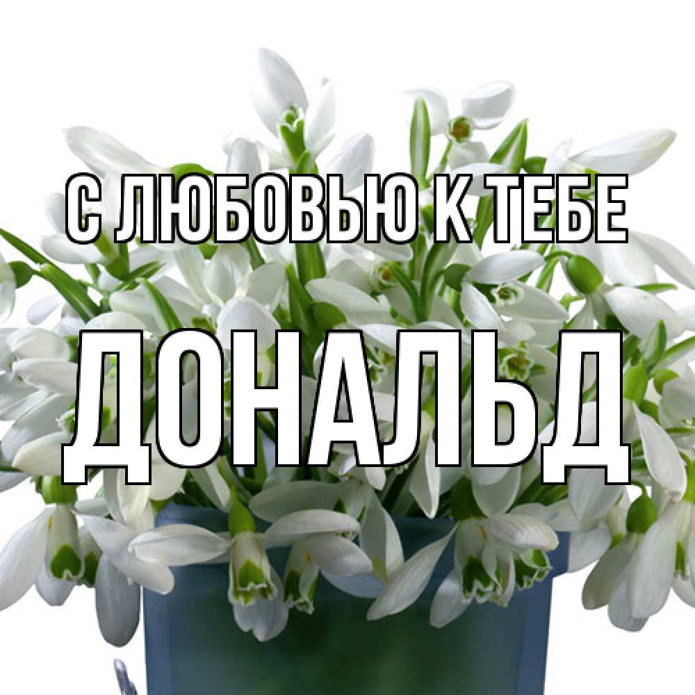 Открытка  с именем. Дональд, С любовью к тебе  
