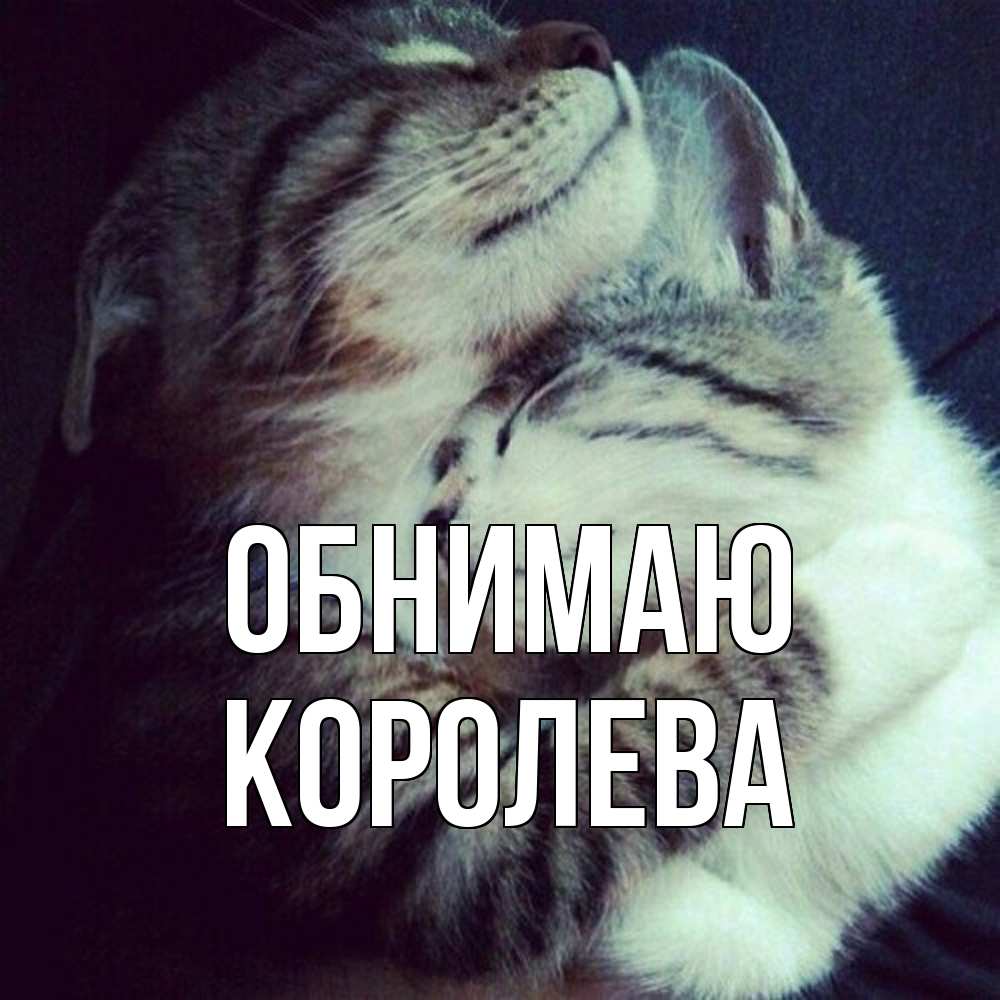 Открытка  с именем. Королева, Обнимаю  