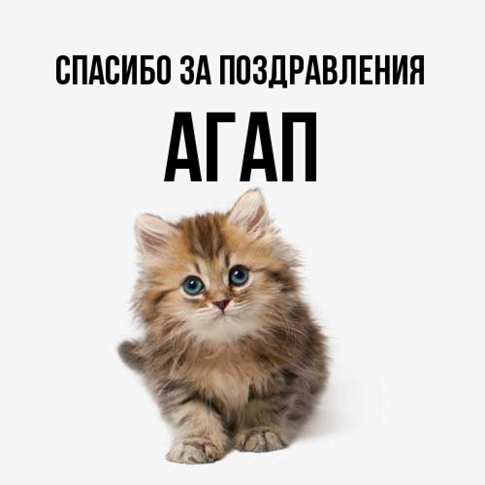 Открытка  с именем. Агап, Спасибо за поздравления  