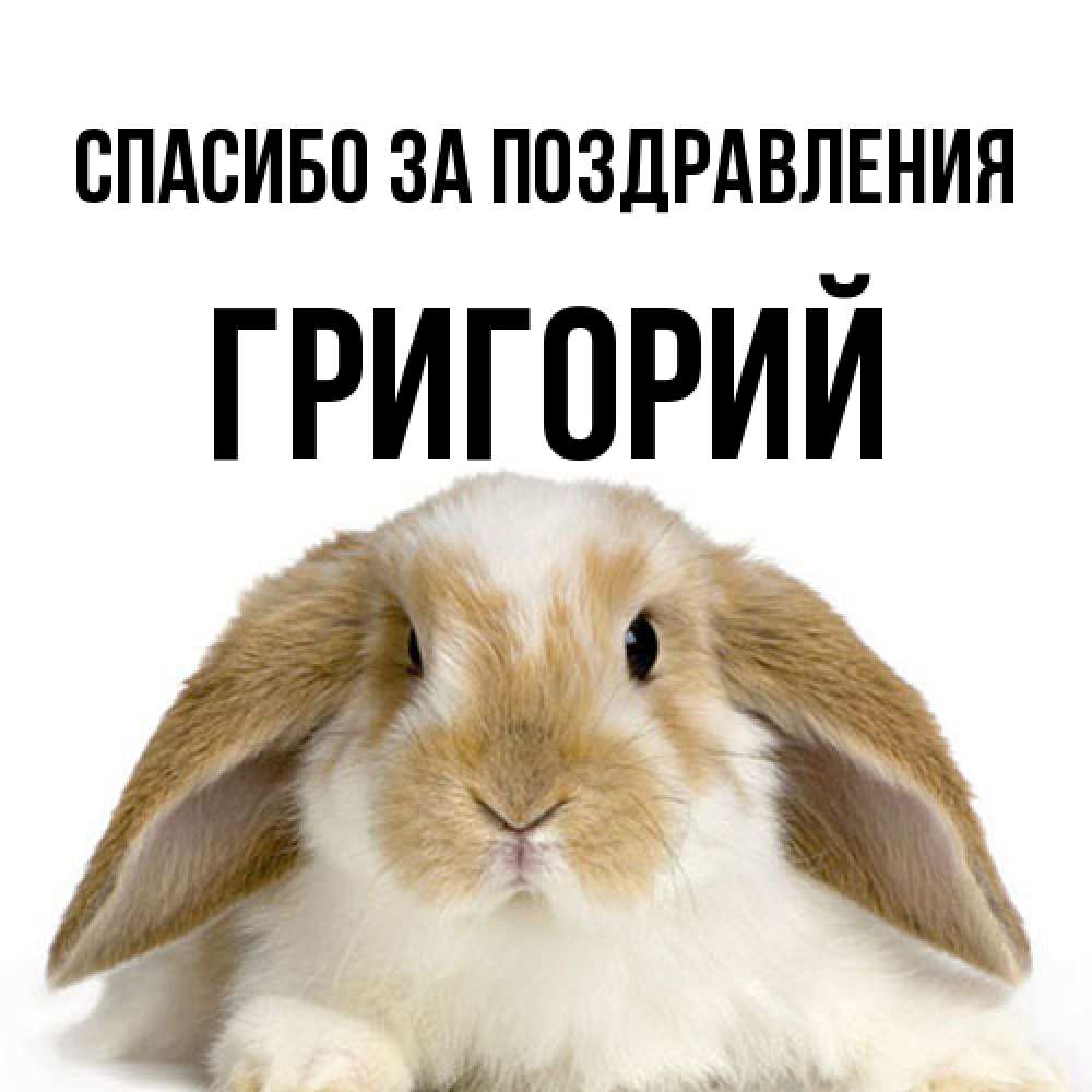 Открытка  с именем. Григорий, Спасибо за поздравления  