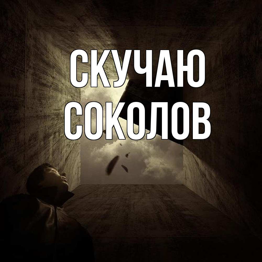 Открытка  с именем. Соколов, Скучаю  