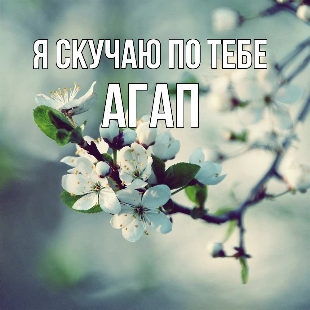Открытка  с именем. Агап, Я скучаю по тебе  