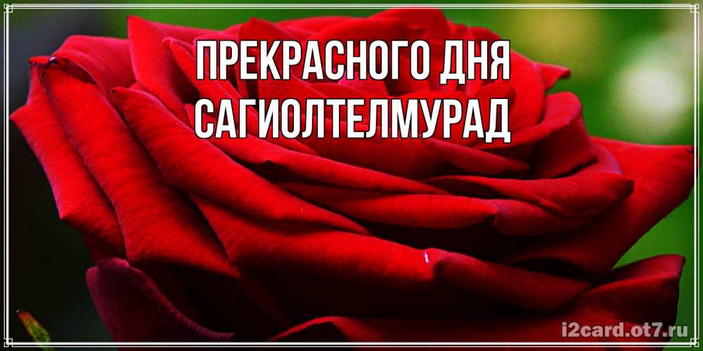 Открытка  с именем. САГИОЛТЕЛМУРАД, Прекрасного дня  