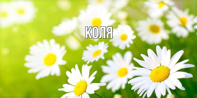 Картинка  с именем , коля
