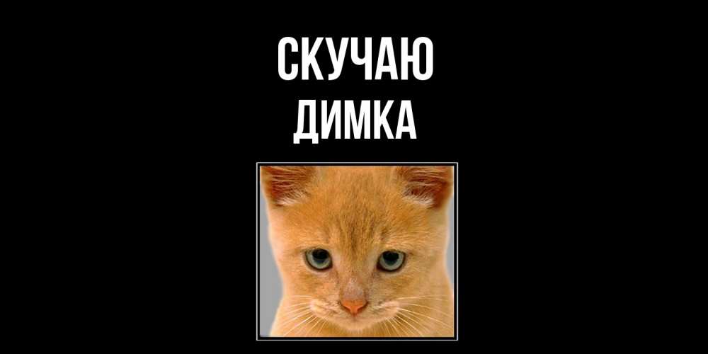Открытка  с именем. ДИМКА, Скучаю  