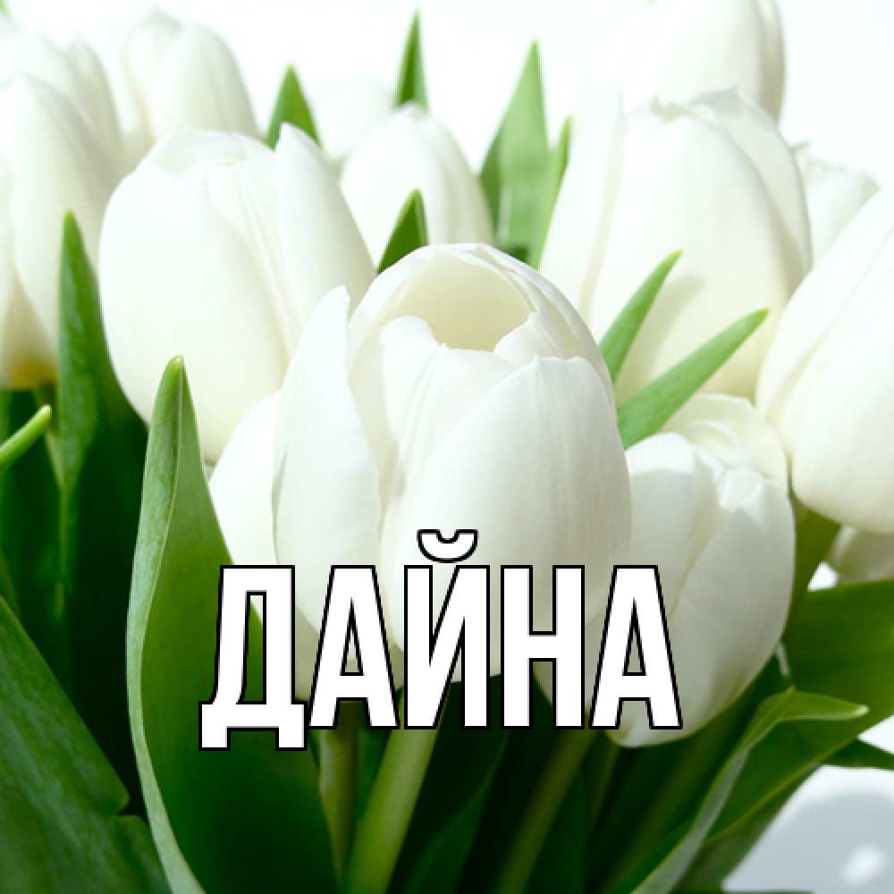 Открытка  с именем. Дайна, Главная  