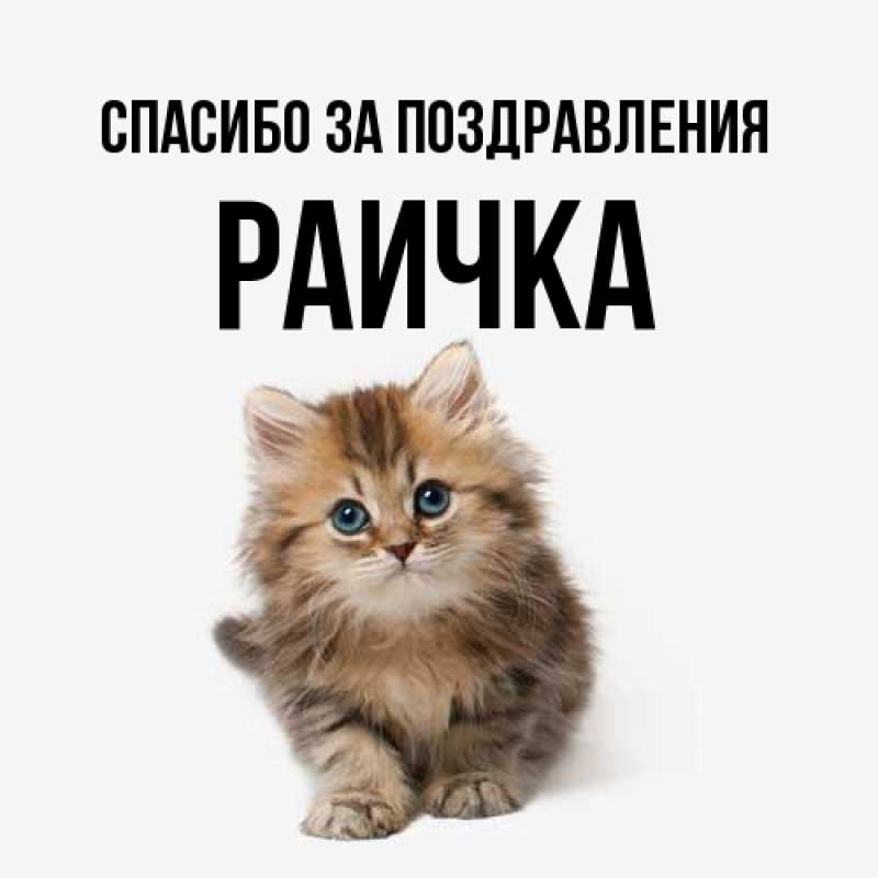 Картинка Спасибо за поздравления, Раичка