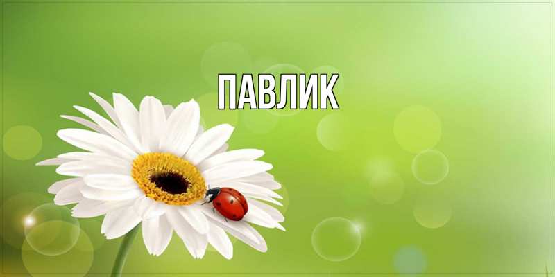 Картинка  с именем , Павлик