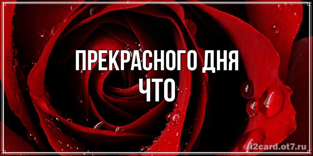 Открытка  с именем. Что, Прекрасного дня  