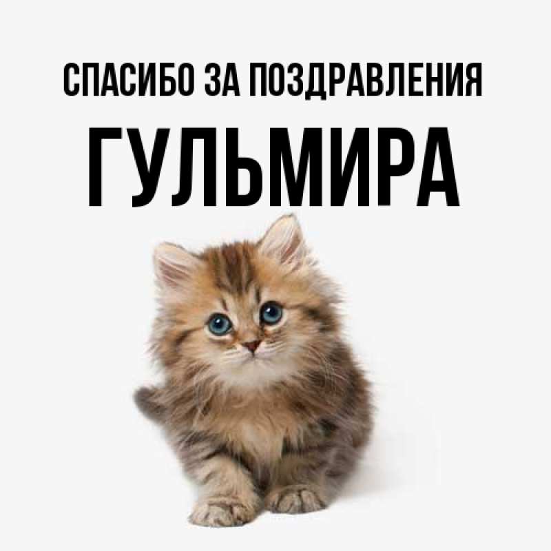 Картинка Спасибо за поздравления, Гульмира