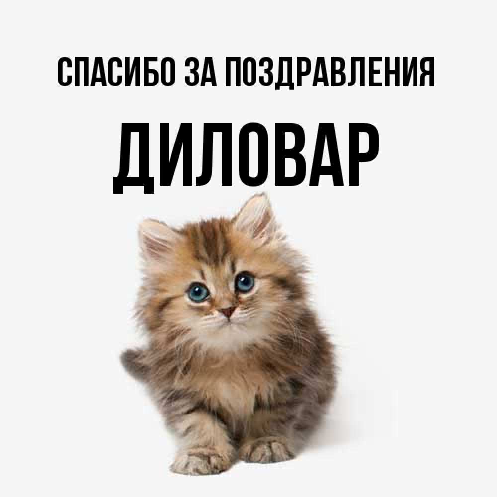Открытка  с именем. Диловар, Спасибо за поздравления  