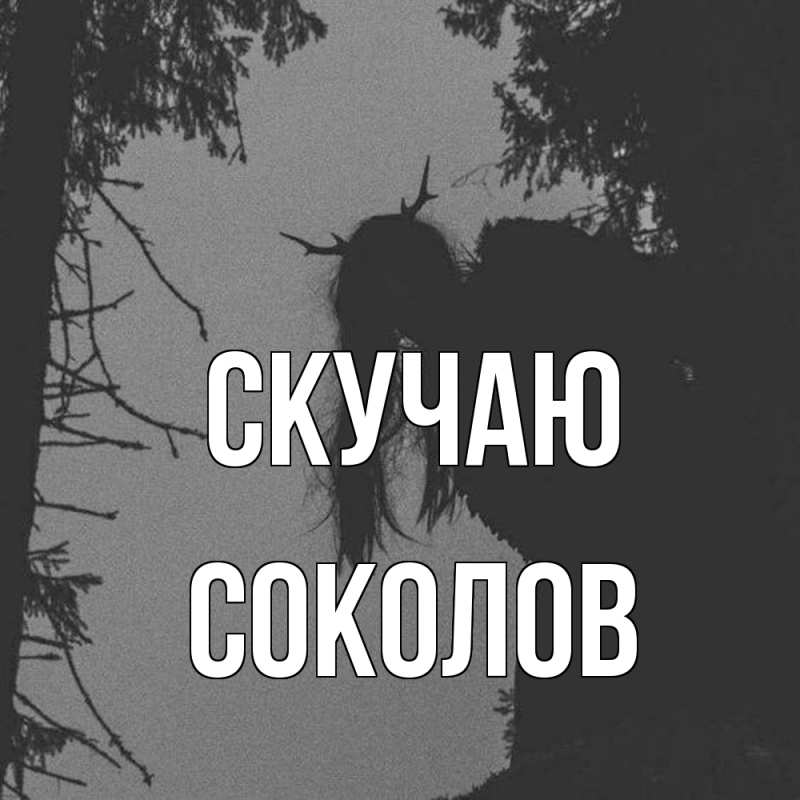Картинка Скучаю, Соколов