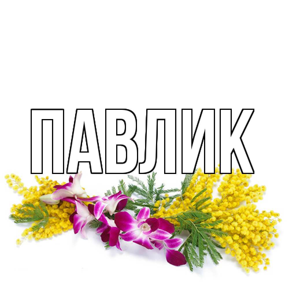 Открытка  с именем. Павлик, Главная  