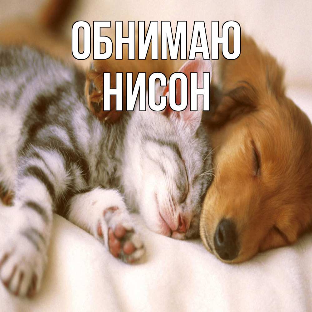 Открытка  с именем. Нисон, Обнимаю  