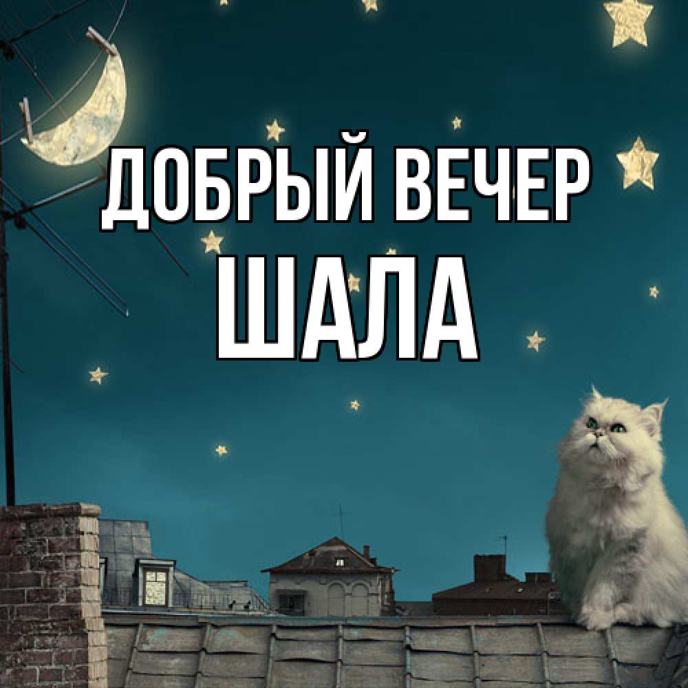 Открытка  с именем. Шала, Добрый вечер  
