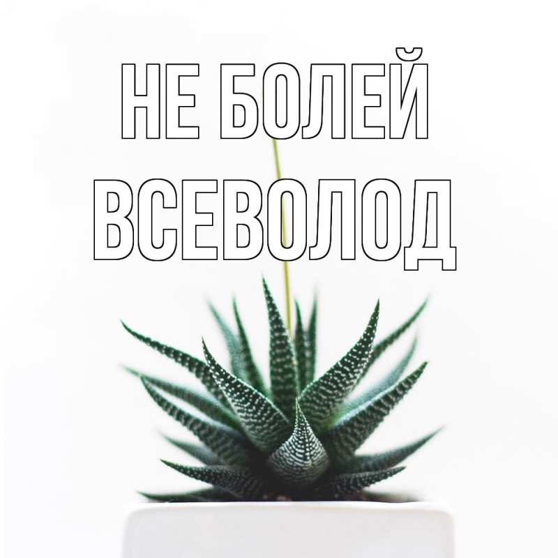 Открытка с именем, Всеволод, Не болей