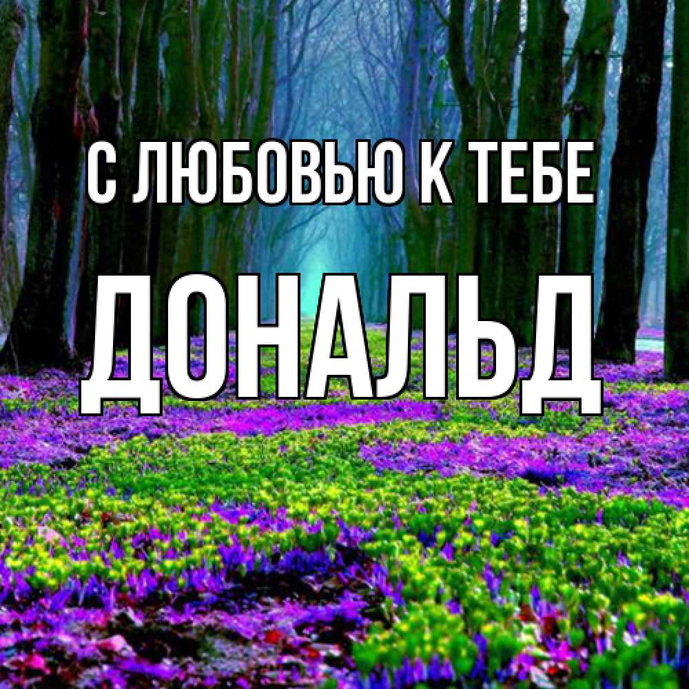 Открытка  с именем. Дональд, С любовью к тебе  