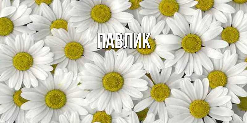 Картинка  с именем , Павлик