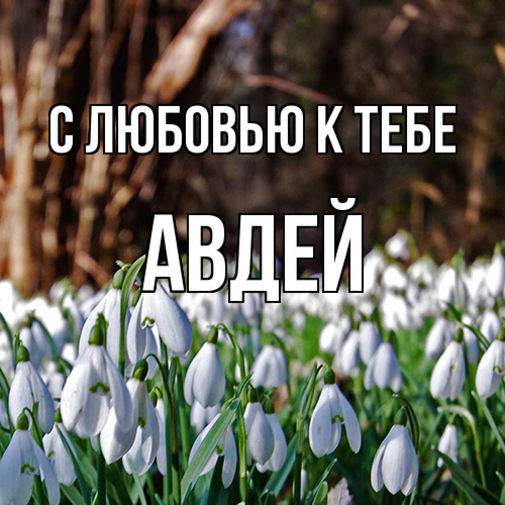 Открытка  с именем. Авдей, С любовью к тебе  