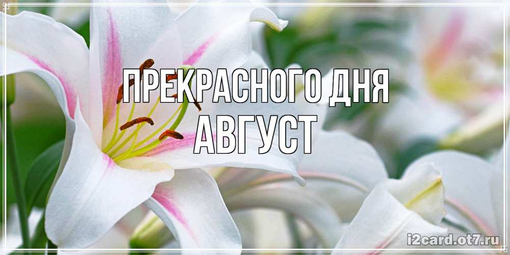 Открытка  с именем. Август, Прекрасного дня  